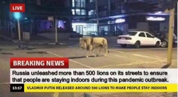 <br />
В Сети поверили в мем про львов, разгоняющих россиян по домам<br />

