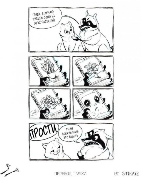 <br />
							Крутые комиксы про енота, которые поймут все взрослые (16 фото)
<p>					
