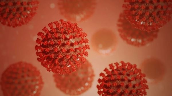Коронавирус мутирует: ученые открыли несколько разновидностей штамма