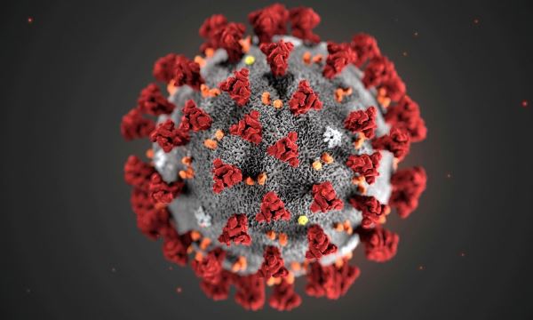 В каких условиях погибает коронавирус: ученые сделали неожиданное заявление