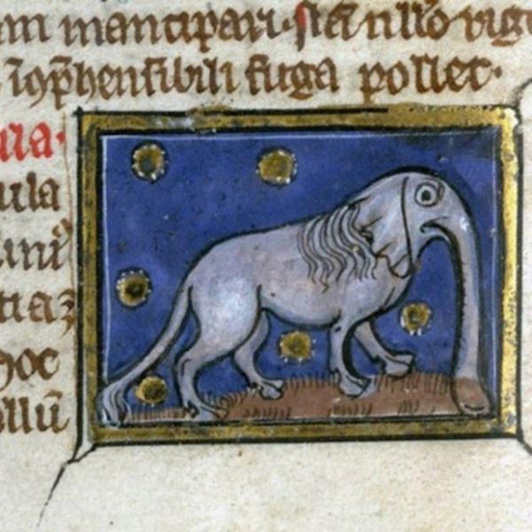 Судя по тому, как художники Средневековья изображали слонов, они никогда не видели этих животных (22 фото)