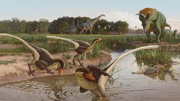 Ученые выяснили, как выглядел пернатый динозавр, живший 67 млн лет назад